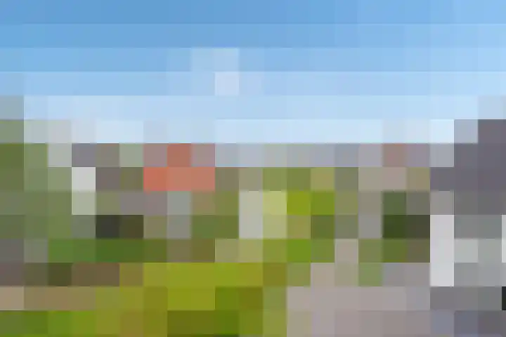 Aruba 8 Zoetermeer thumbnail 4