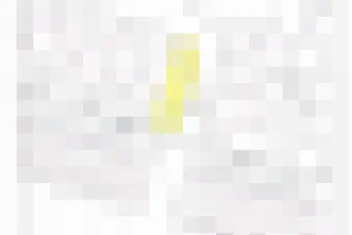 Aruba 8 Zoetermeer thumbnail 44