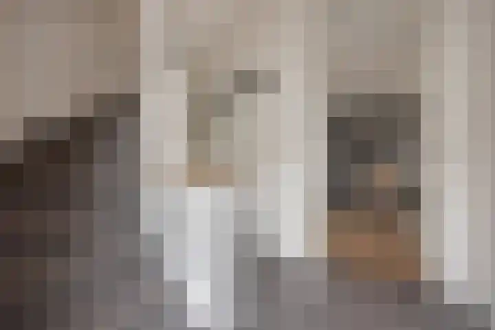 Aruba 8 Zoetermeer thumbnail 6