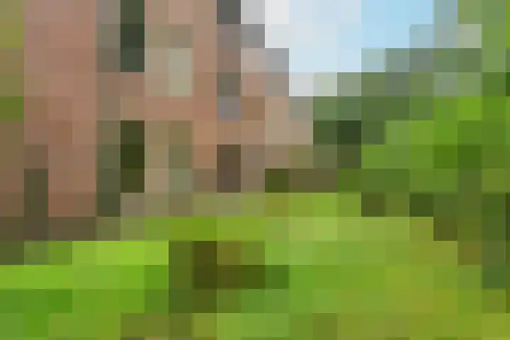 Arubalaan 48 A Amersfoort thumbnail 14