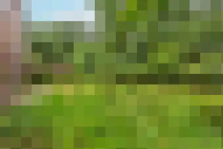 Arubalaan 48 A Amersfoort thumbnail 15
