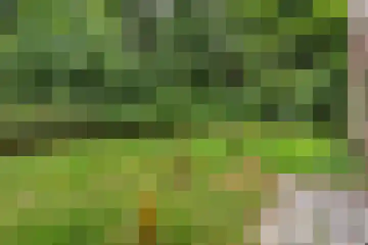 Arubalaan 48 A Amersfoort thumbnail 16
