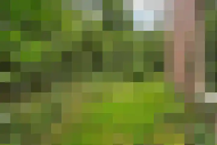 Arubalaan 48 A Amersfoort thumbnail 17