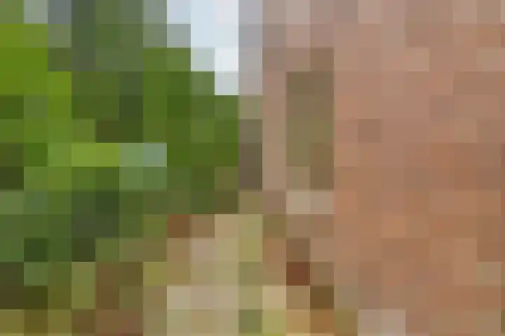 Arubalaan 48 A Amersfoort thumbnail 28