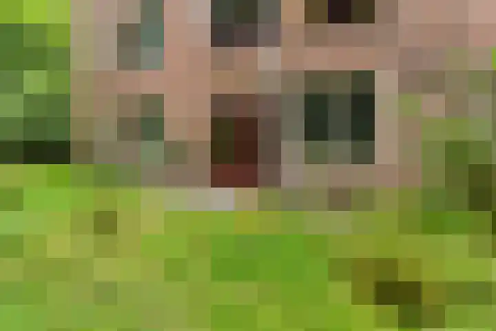 Arubalaan 48 A Amersfoort thumbnail 5
