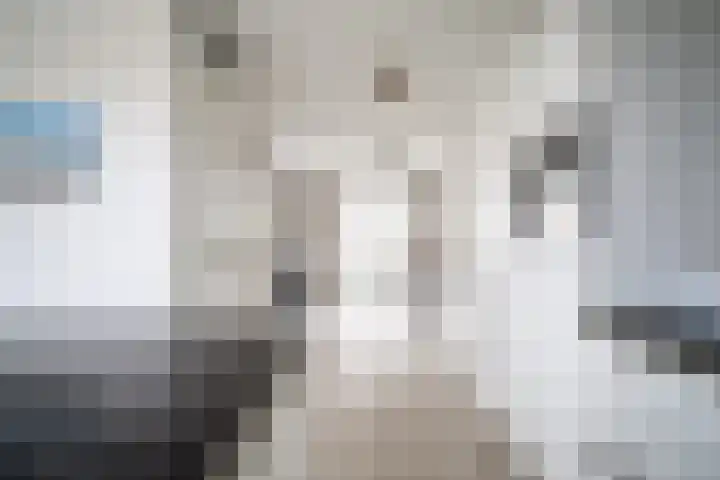 Arubapad 1 Leiden thumbnail 22