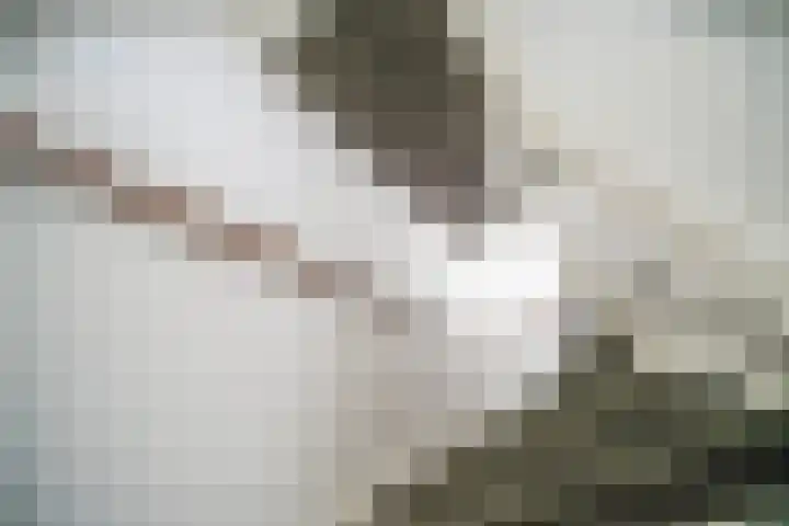 Arubapad 1 Leiden thumbnail 25