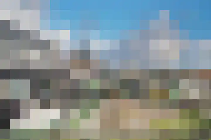 Arubapad 1 Leiden thumbnail 48