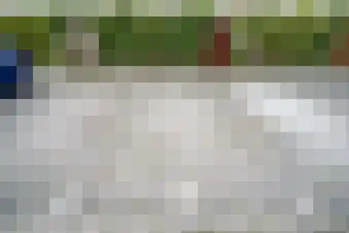 Arubapad 1 Leiden thumbnail 56