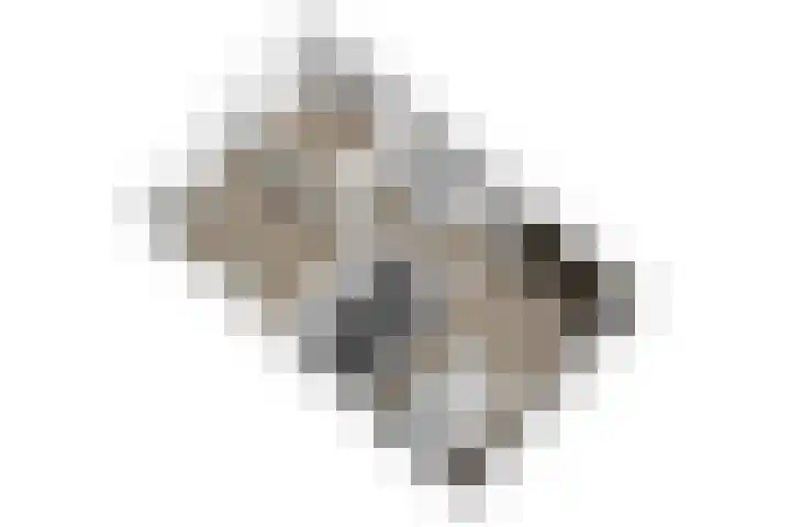Arubapad 1 Leiden thumbnail 61