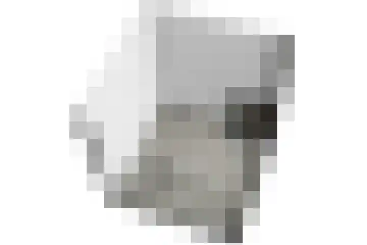 Arubapad 1 Leiden thumbnail 65