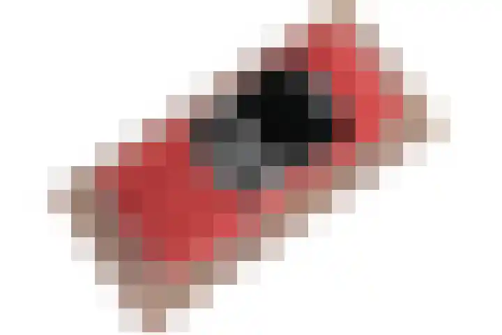Arubapad 1 Leiden thumbnail 68