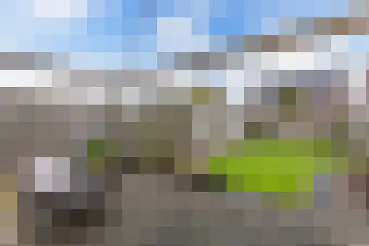 Arumer Feart 2 Franeker thumbnail 24