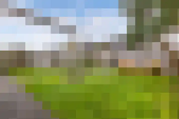 Arumer Feart 2 Franeker thumbnail 26