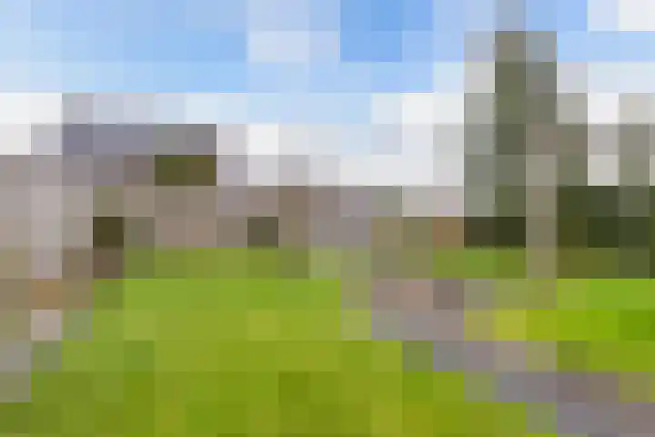 Arumer Feart 2 Franeker thumbnail 27