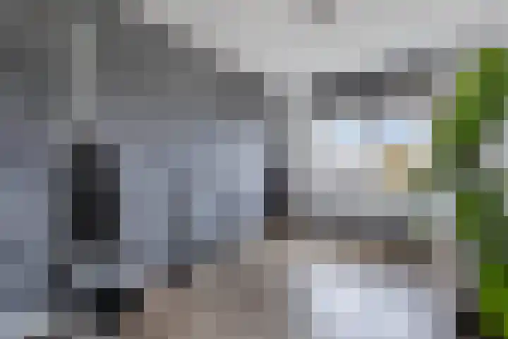 Arumer Feart 2 Franeker thumbnail 39