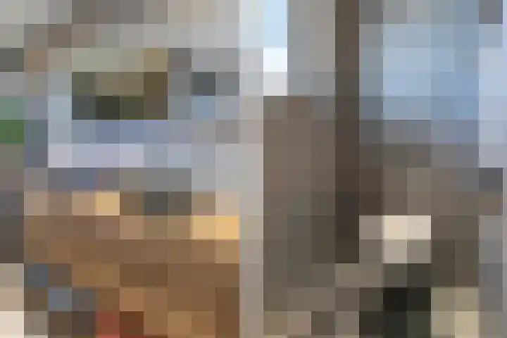 Arumer Feart 2 Franeker thumbnail 43