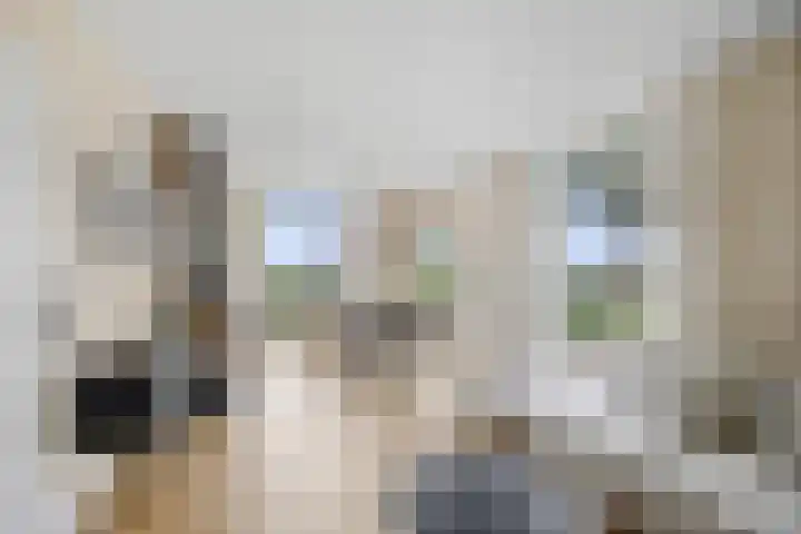 Arumerweg 84 Witmarsum thumbnail 10