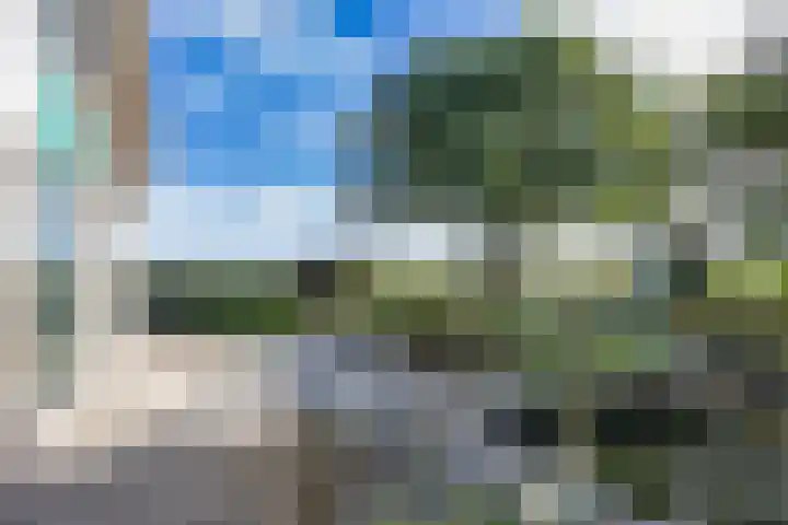 Arumerweg 84 Witmarsum thumbnail 39