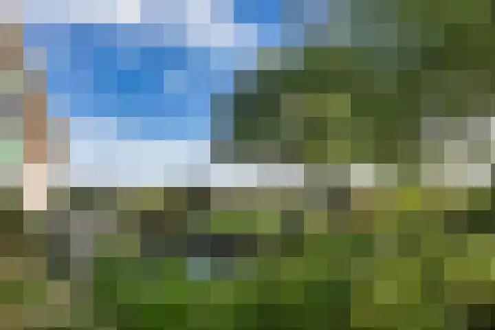 Arumerweg 84 Witmarsum thumbnail 42