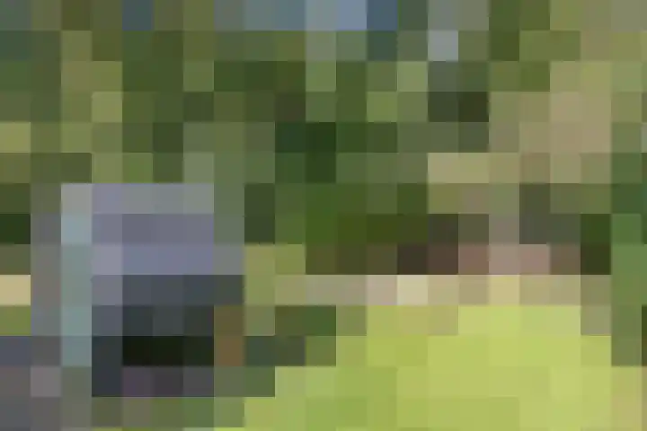 Arumerweg 84 Witmarsum thumbnail 45