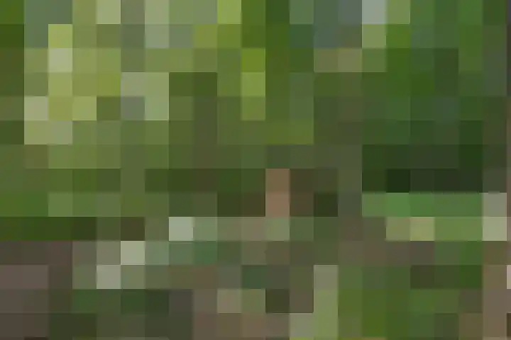Arumerweg 84 Witmarsum thumbnail 47