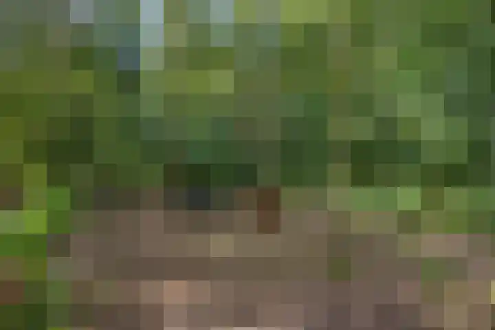 Arumerweg 84 Witmarsum thumbnail 49