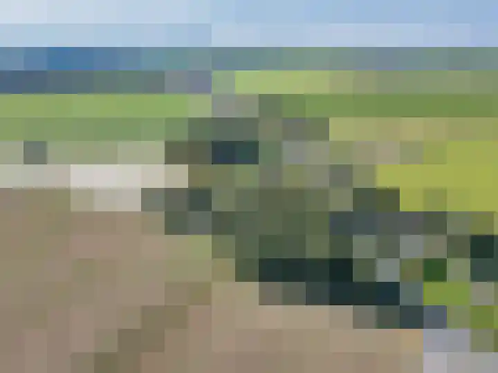 Arumerweg 84 Witmarsum thumbnail 54
