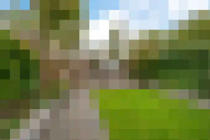 Arve 45 Emmen thumbnail 35