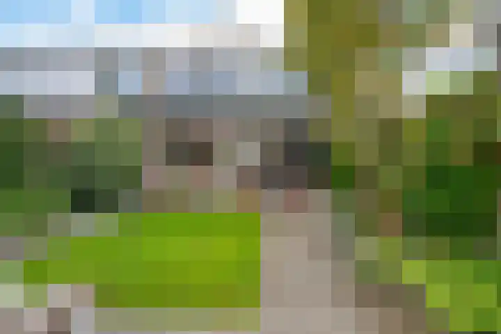 Arve 45 Emmen thumbnail 38