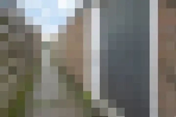 Arve 45 Emmen thumbnail 39