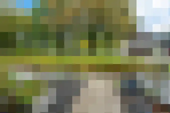 Arve 45 Emmen thumbnail 4