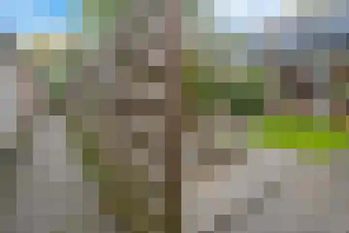 Arve 45 Emmen thumbnail 40