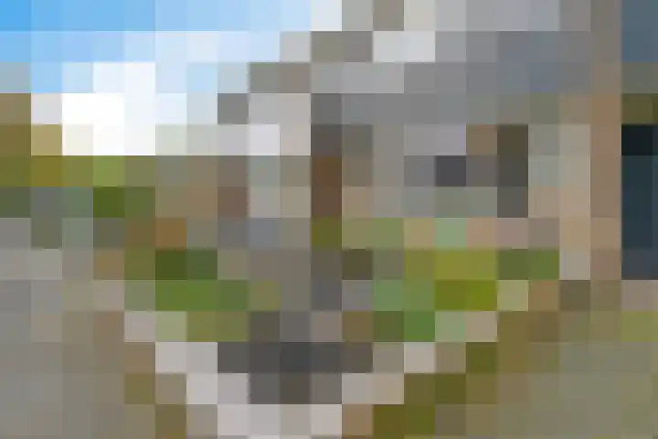 Arve 45 Emmen thumbnail 6