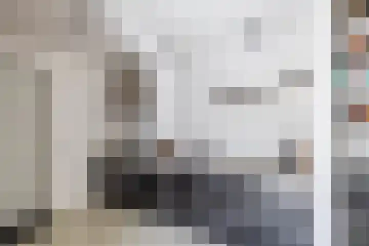 Arwerd 3 Groningen thumbnail 13