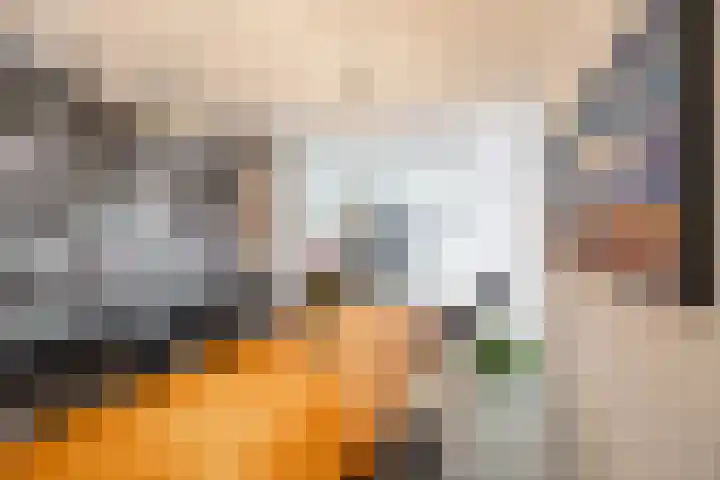 Arwerd 3 Groningen thumbnail 17
