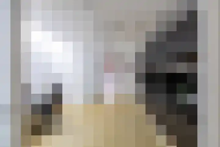 Arwerd 3 Groningen thumbnail 22