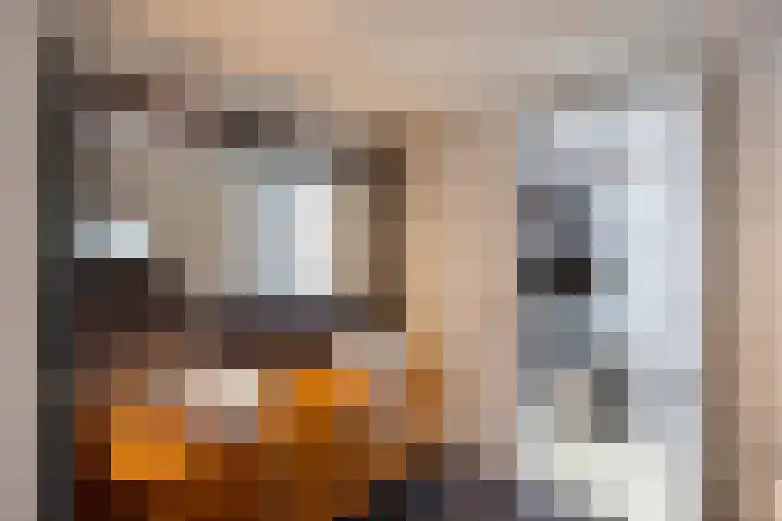 Arwerd 3 Groningen thumbnail 30