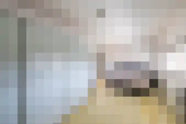 Arwerd 3 Groningen thumbnail 32