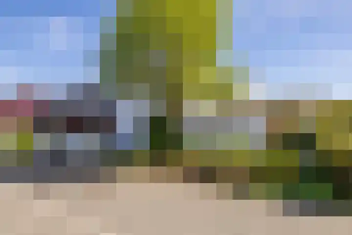 Arwerd 3 Groningen thumbnail 36