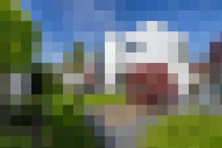 Arwerd 3 Groningen thumbnail 39