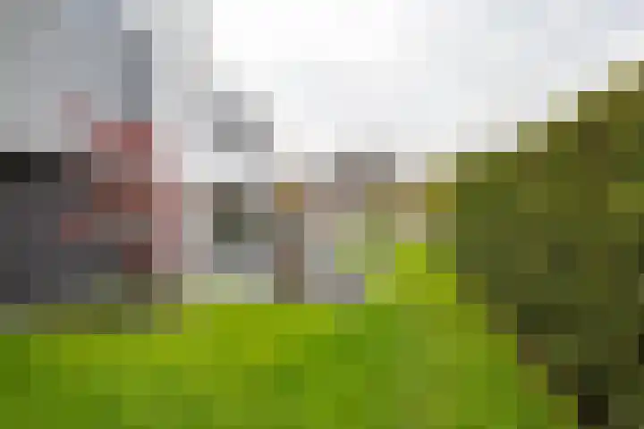Arwerd 3 Groningen thumbnail 45