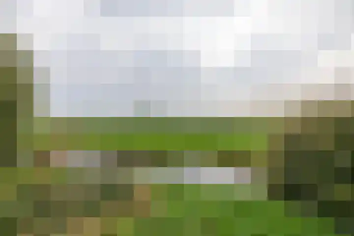 Arwerd 3 Groningen thumbnail 47