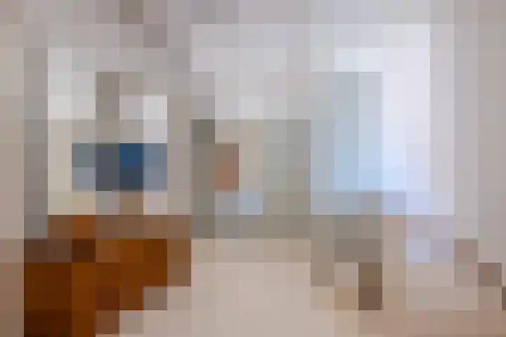 Ary Schefferstraat 29 Den Haag thumbnail 44