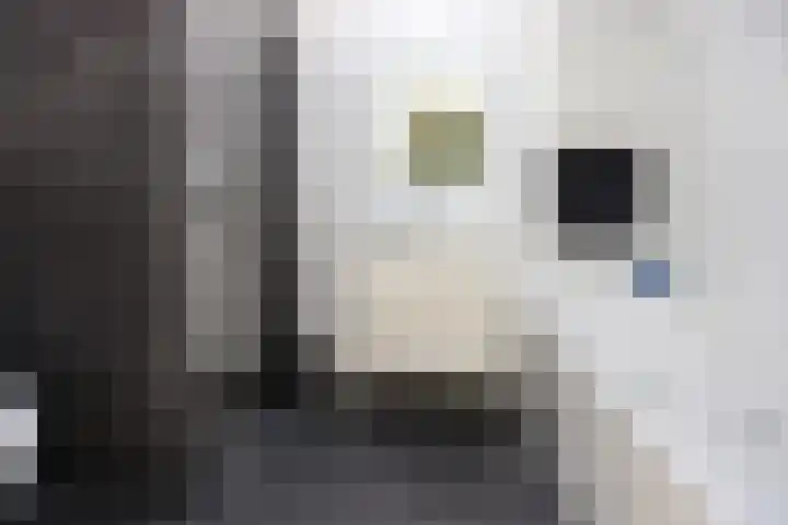 Asakkerhof 4 Ede thumbnail 19