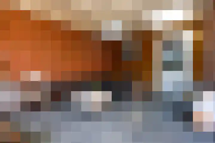 Asakkerhof 4 Ede thumbnail 31