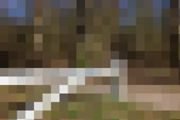Asakkerhof 4 Ede thumbnail 4