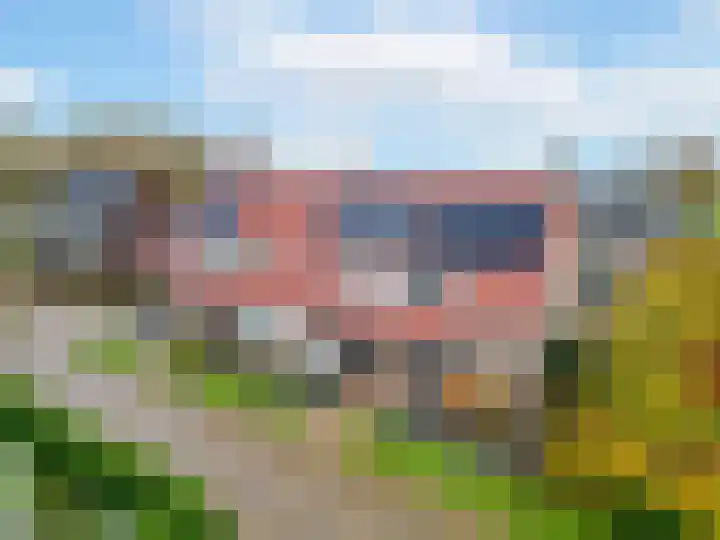 Asboom 13 in Overlangel