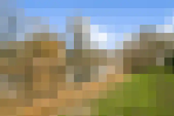 Asingaborg 74 Amsterdam thumbnail 17