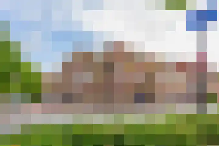 Asingastraat 7 a Groningen thumbnail 21